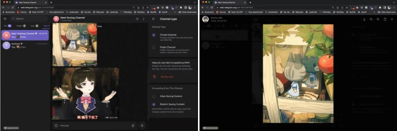 📢 TelegramMediaDownloader - 一个用于解锁下载电报媒体内容的脚本🏷️ #脚本 #telegram相关 #油猴脚本👉🏻 