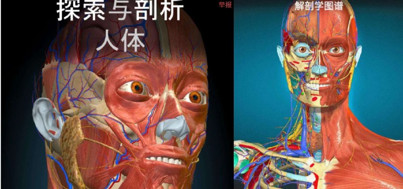 📢 3D解剖学 - 实时探索6000+人体解剖结构🏷️ #Android | 软件 #医学工具 #学习软件👉🏻 