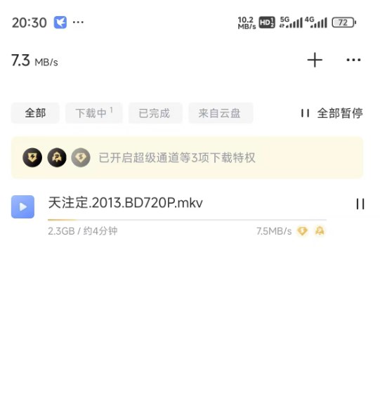 📢 迅雷年费版，极速下载 - 去更新纯净版🏷️ #Android | 软件 #下载器👉🏻 