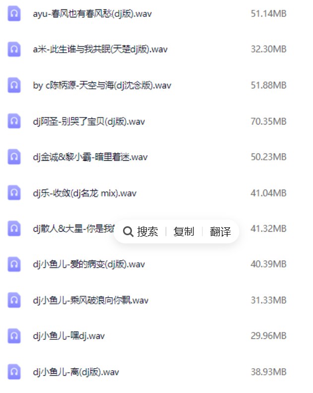 📢 2025年车载必备326首抖音DJ嗨曲精选合集🏷️ #音乐 #DJ👉🏻 