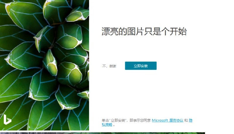 📢 Bing Wallpaper v2.0.1.4中文版🏷️ #Windows | 教程 | 软件 #壁纸工具👉🏻 