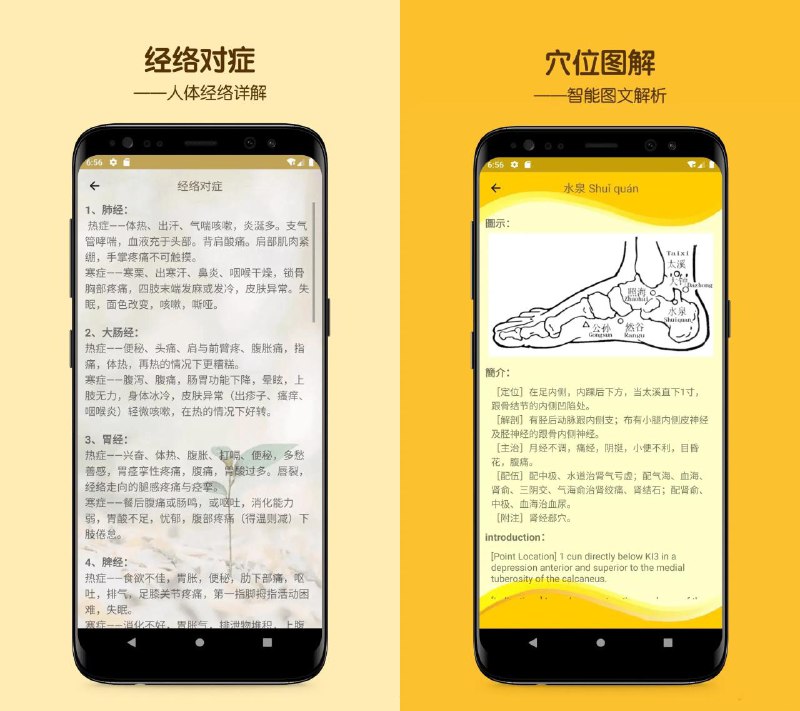 📢 人体穴位图解v3.1.3人体经络去广告版🏷️ #Android | 软件 #中医软件👉🏻 