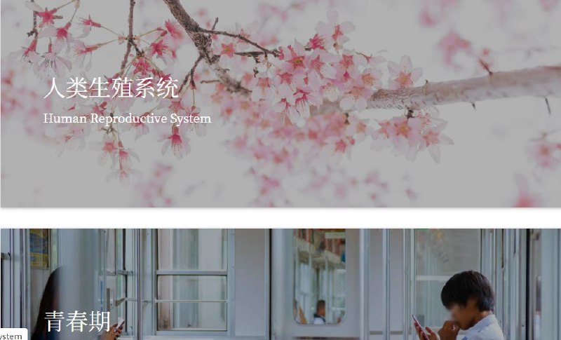 📢 KnowSex - 一个直观明了的性知识科普网站🏷️ #趣站 #性教育知识👉🏻 