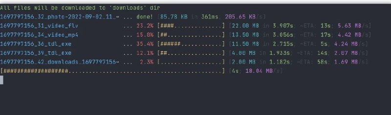 📢 TDL – 一款针对Telegram的资源下载器🏷️ #Windows | 软件 #telegram相关👉🏻 