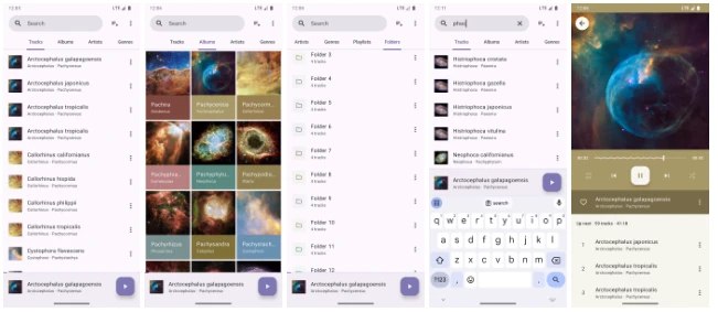 📢 Phocid - 一款现代化的离线音乐播放器🏷️ #Android | 软件 #音乐播放器👉🏻 