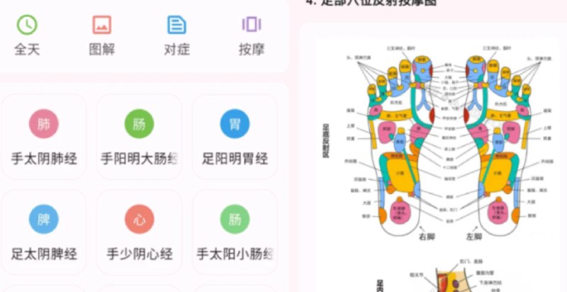 📢 人体穴位图解 - 一款免费无广提供人体穴位图解🏷️ #Android | 软件 #学习软件👉🏻 