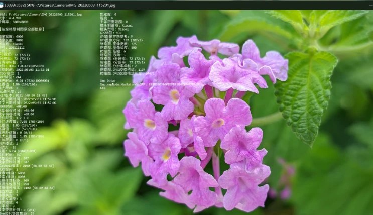 📢 JarkViewer - 一款适用于Windows的高效便捷多格式图片查看器🏷️ #Windows | 软件 #图片工具👉🏻 