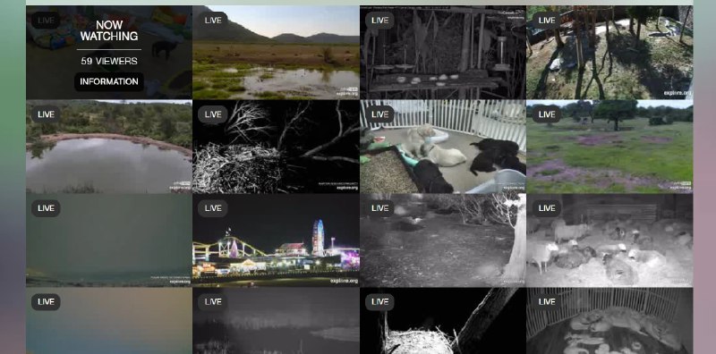 📢 各地动物园直播Live在线观看🏷️ #趣站 #直播Live👉🏻 