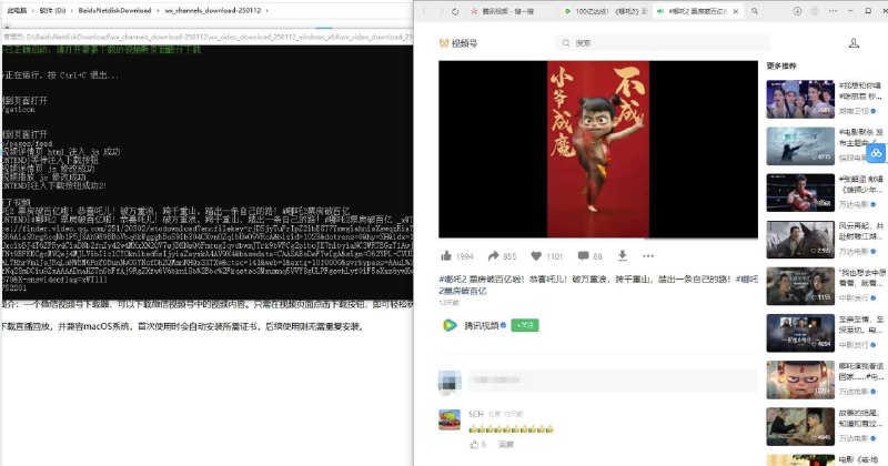 📢 VX视频号下载器PC版v250112🏷️ #Windows | 软件 #视频号下载👉🏻 
