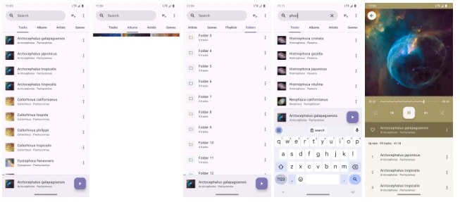 📢 Phocid - 开源本地音乐播放器软件安卓版🏷️ #Android | 软件 #音乐播放器👉🏻 