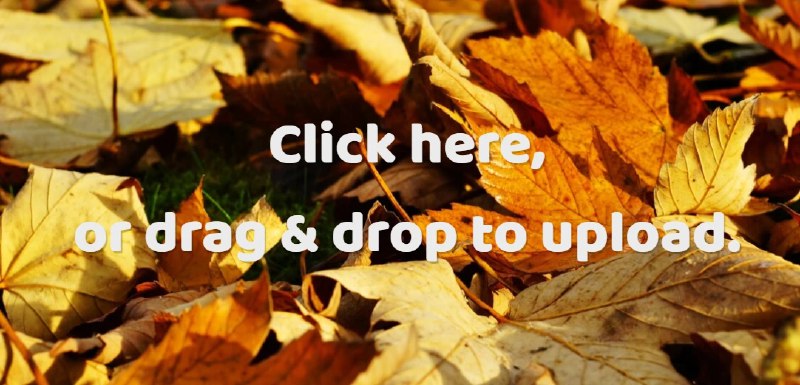 📢 vgy.me免费图床，英国站点，不限速🏷️ #趣站 #图床 #在线图像处理👉🏻 